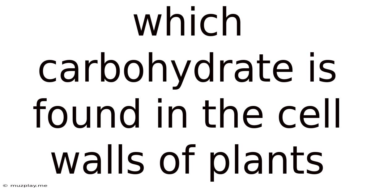 Which Carbohydrate Is Found In The Cell Walls Of Plants