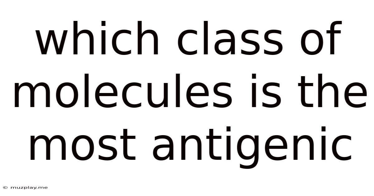 Which Class Of Molecules Is The Most Antigenic