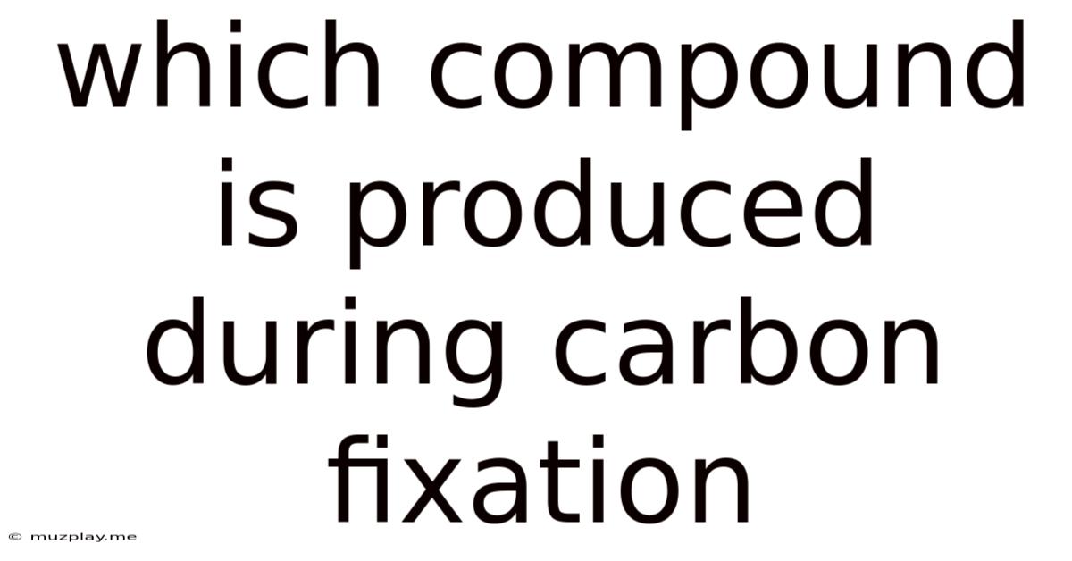 Which Compound Is Produced During Carbon Fixation