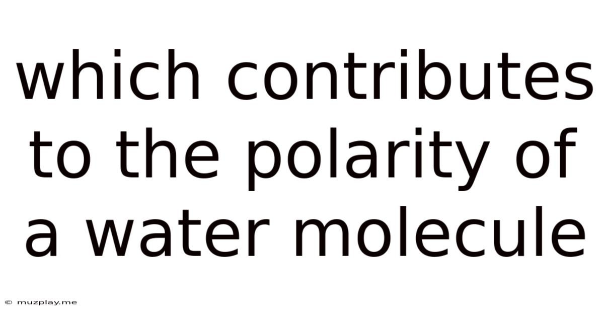 Which Contributes To The Polarity Of A Water Molecule