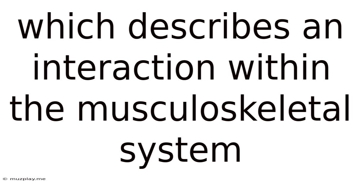 Which Describes An Interaction Within The Musculoskeletal System