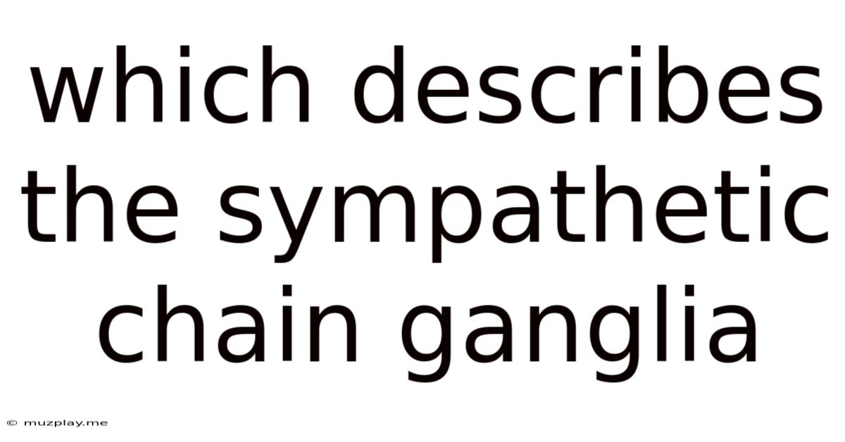 Which Describes The Sympathetic Chain Ganglia