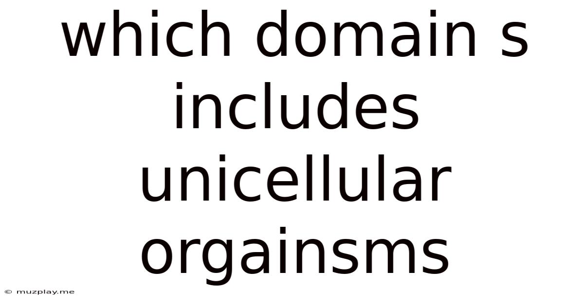 Which Domain S Includes Unicellular Orgainsms