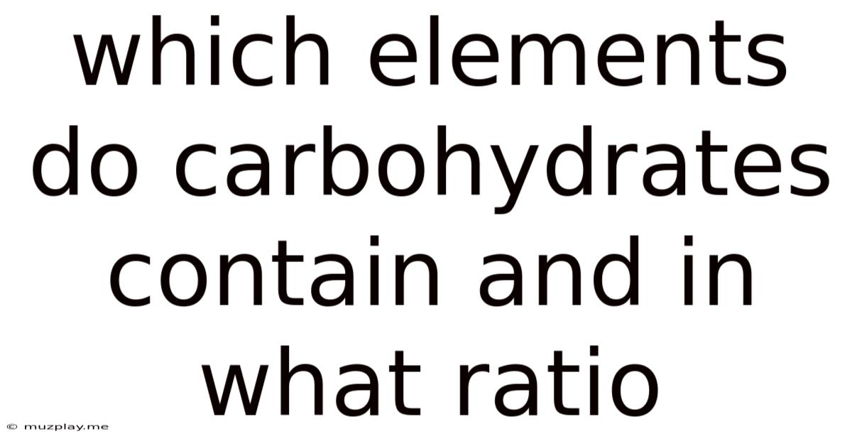 Which Elements Do Carbohydrates Contain And In What Ratio