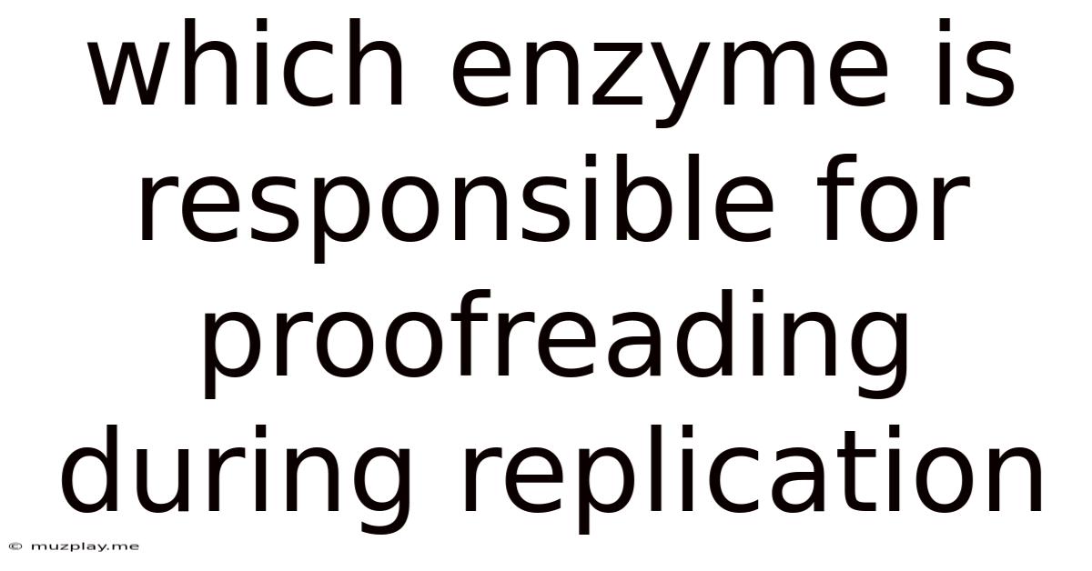 Which Enzyme Is Responsible For Proofreading During Replication