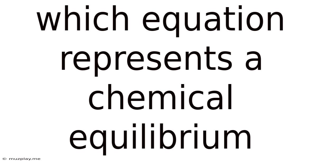 Which Equation Represents A Chemical Equilibrium