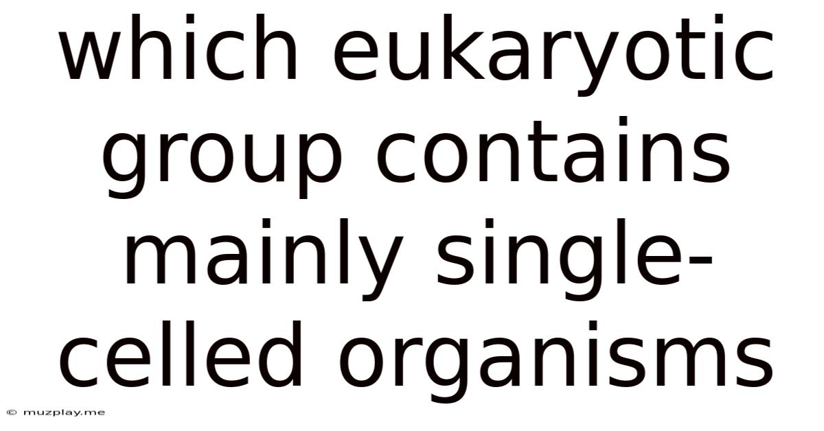 Which Eukaryotic Group Contains Mainly Single-celled Organisms