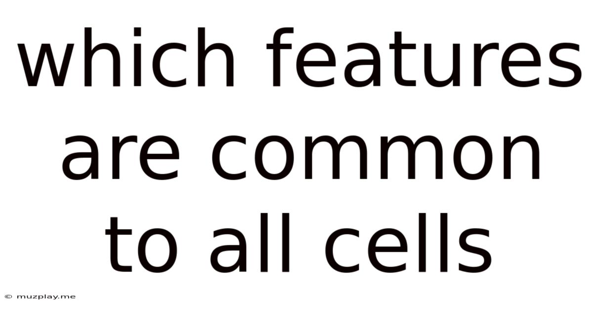 Which Features Are Common To All Cells