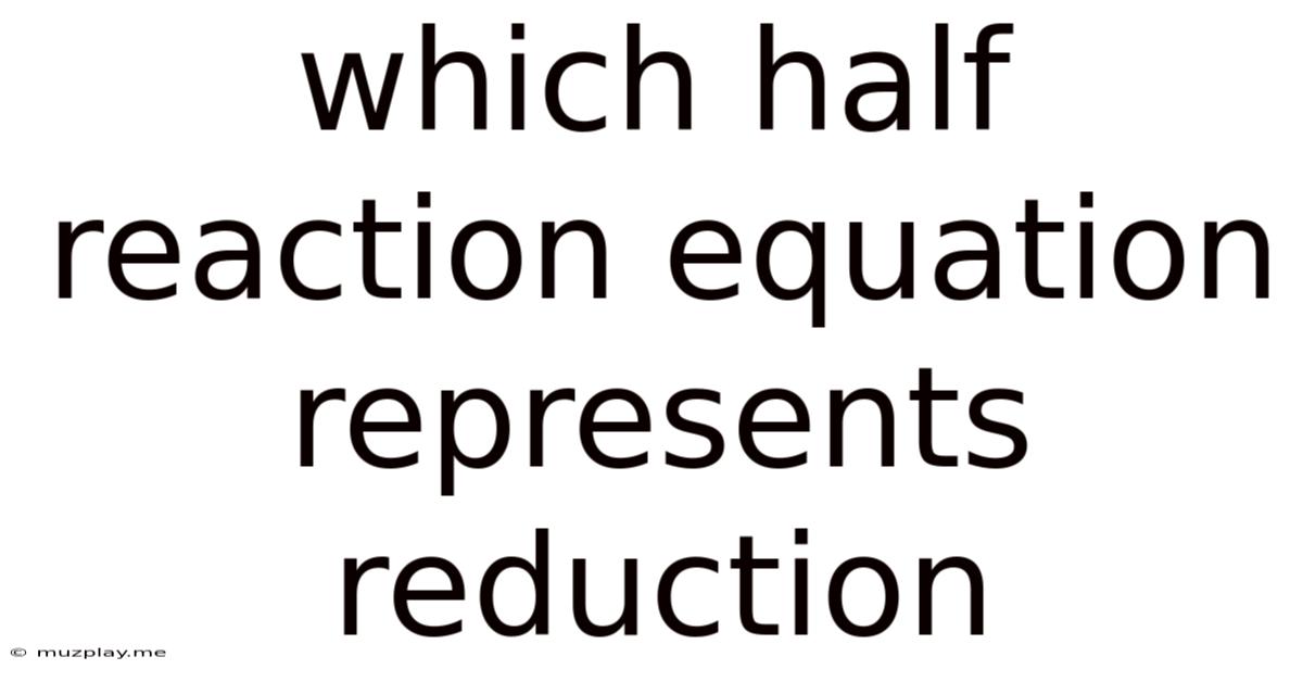 Which Half Reaction Equation Represents Reduction