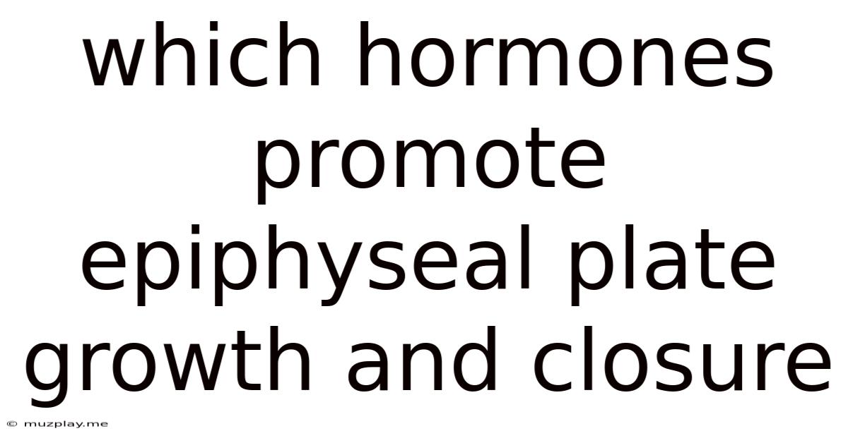 Which Hormones Promote Epiphyseal Plate Growth And Closure