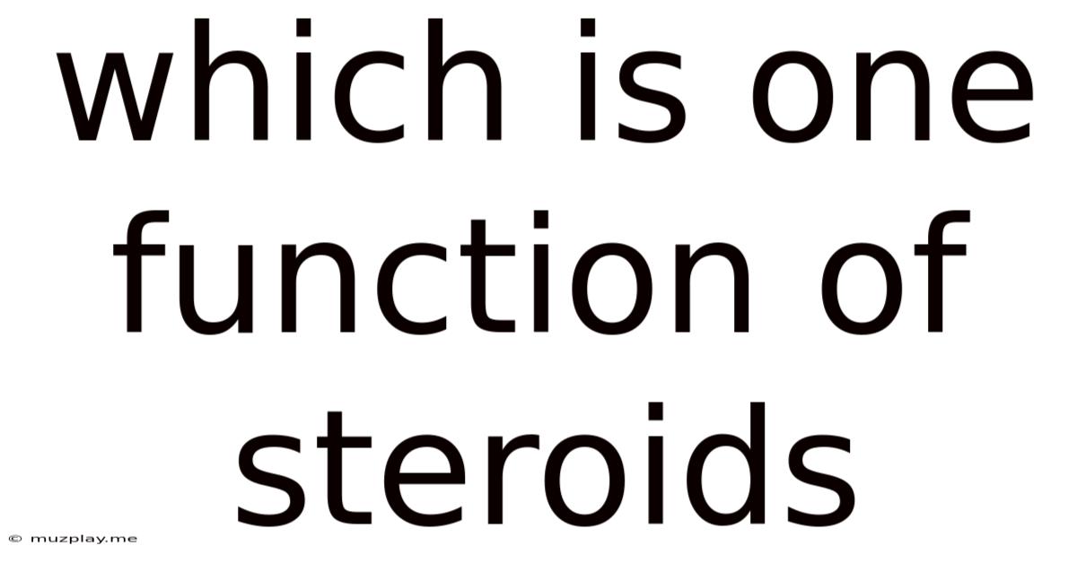 Which Is One Function Of Steroids
