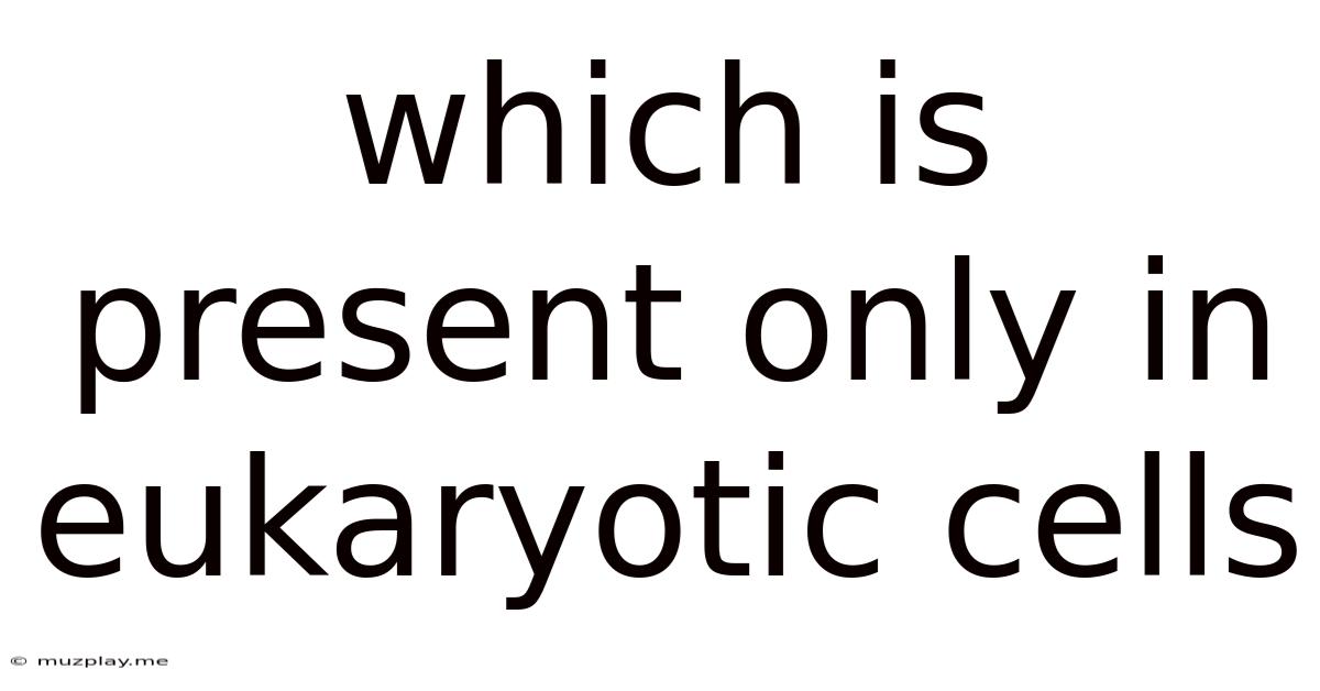 Which Is Present Only In Eukaryotic Cells