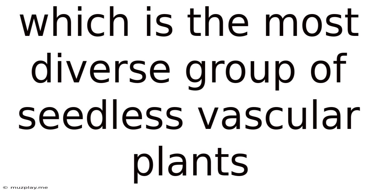 Which Is The Most Diverse Group Of Seedless Vascular Plants