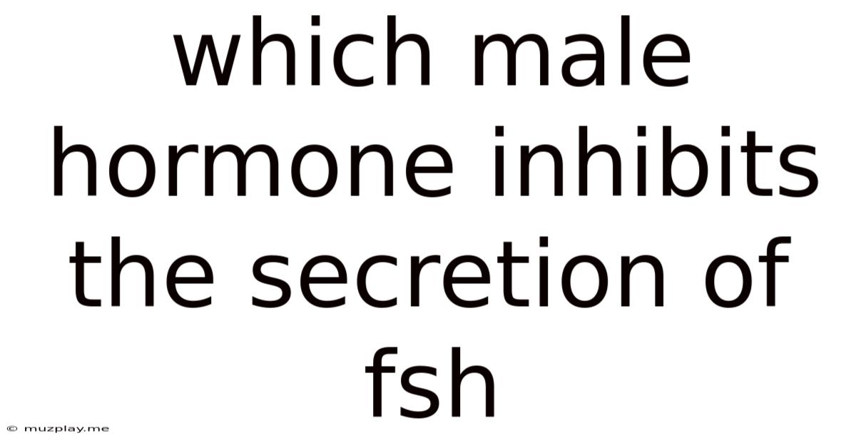 Which Male Hormone Inhibits The Secretion Of Fsh
