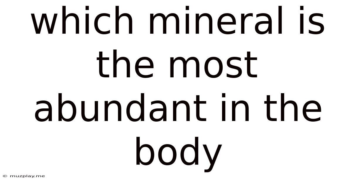 Which Mineral Is The Most Abundant In The Body