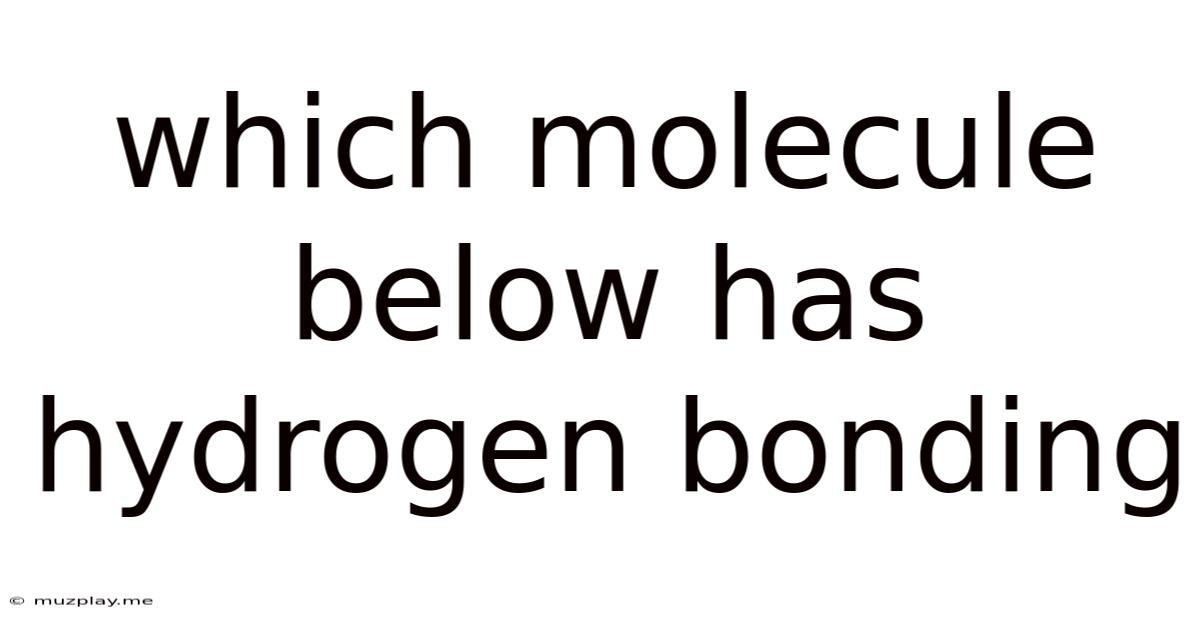 Which Molecule Below Has Hydrogen Bonding