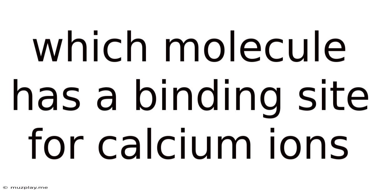 Which Molecule Has A Binding Site For Calcium Ions
