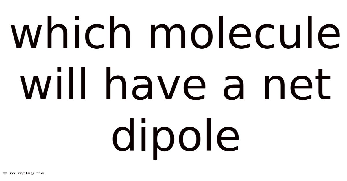 Which Molecule Will Have A Net Dipole