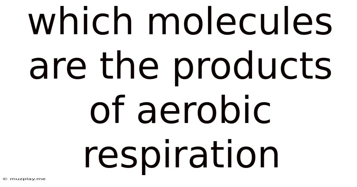 Which Molecules Are The Products Of Aerobic Respiration