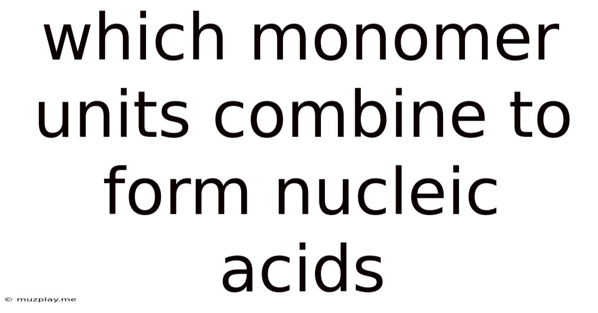 Which Monomer Units Combine To Form Nucleic Acids