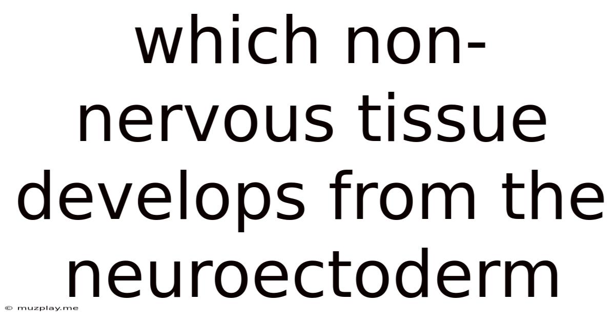 Which Non-nervous Tissue Develops From The Neuroectoderm