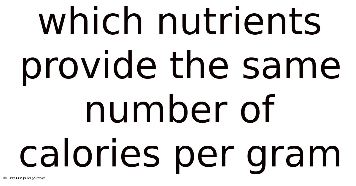 Which Nutrients Provide The Same Number Of Calories Per Gram