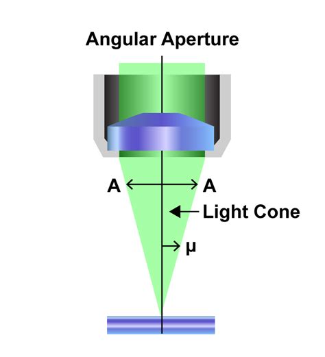 Which Objective Lens Requires Oil To Be Applied