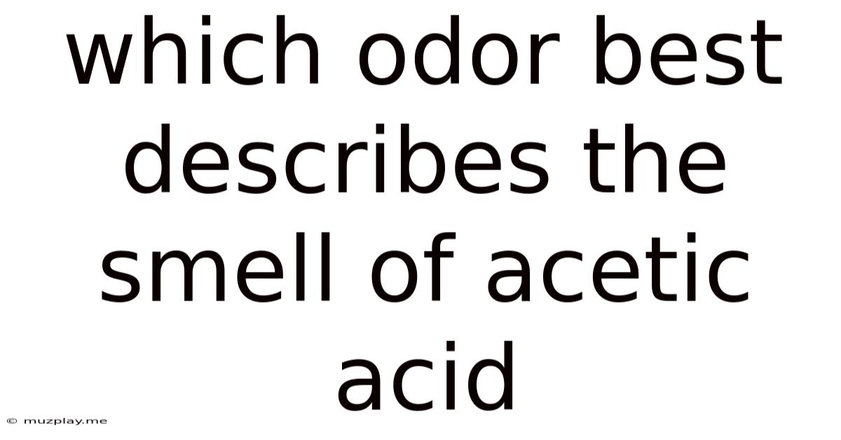 Which Odor Best Describes The Smell Of Acetic Acid