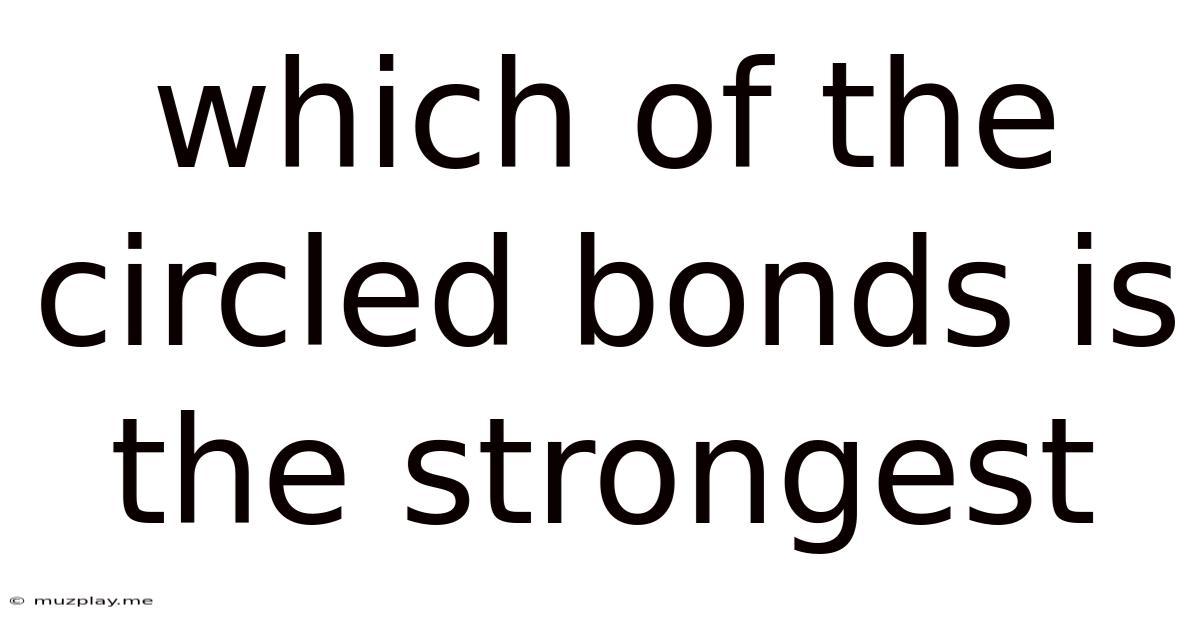 Which Of The Circled Bonds Is The Strongest