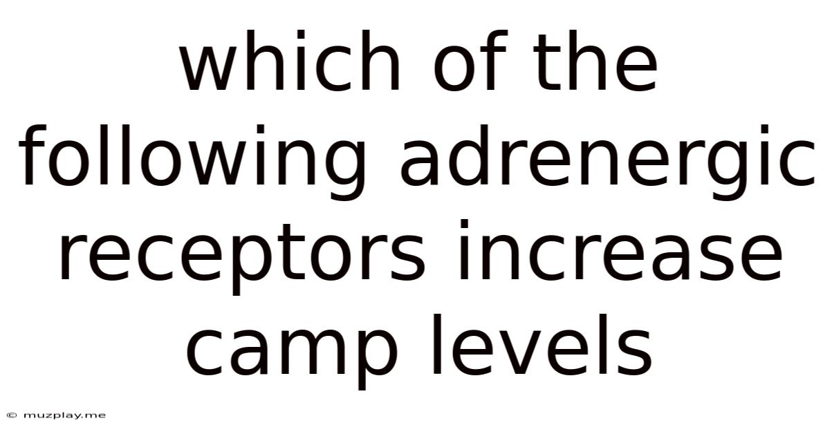 Which Of The Following Adrenergic Receptors Increase Camp Levels