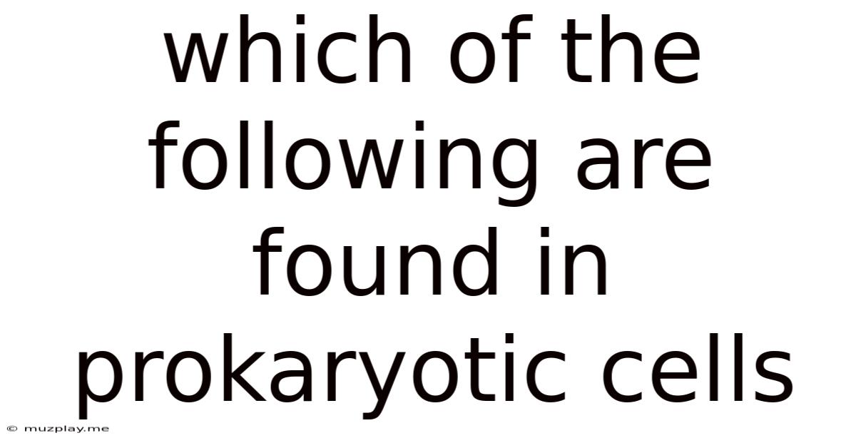 Which Of The Following Are Found In Prokaryotic Cells