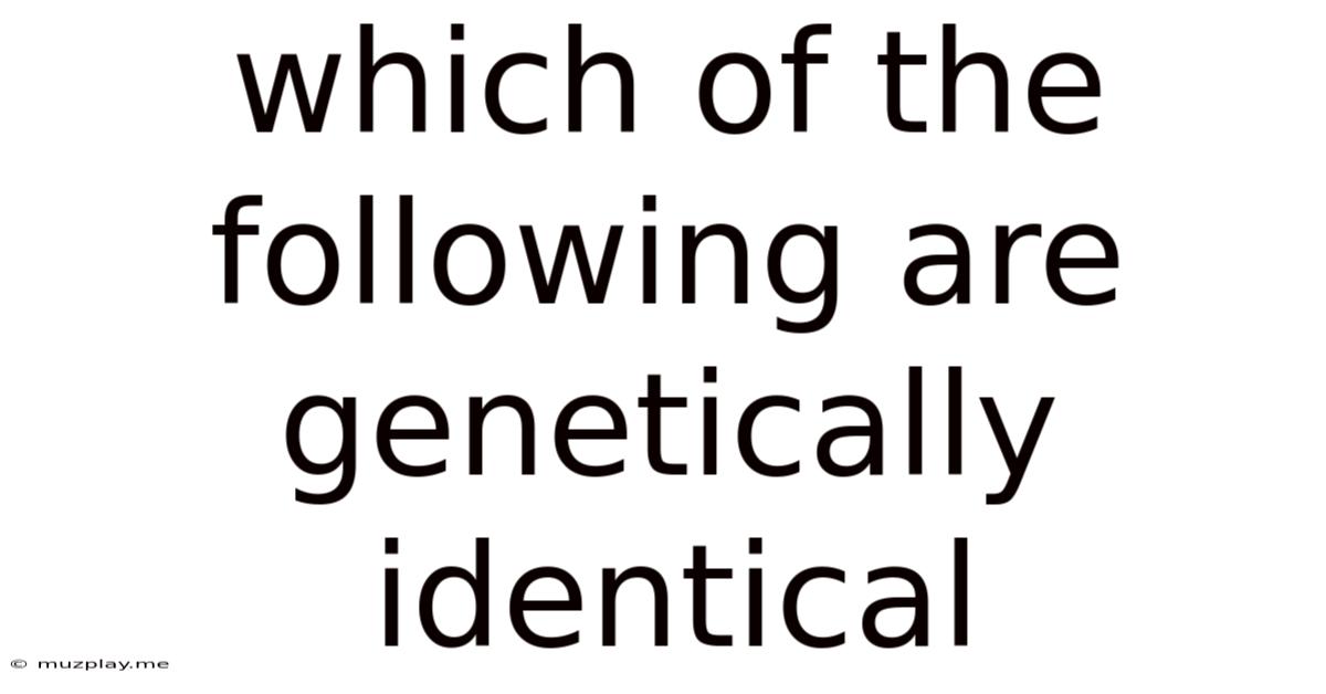 Which Of The Following Are Genetically Identical