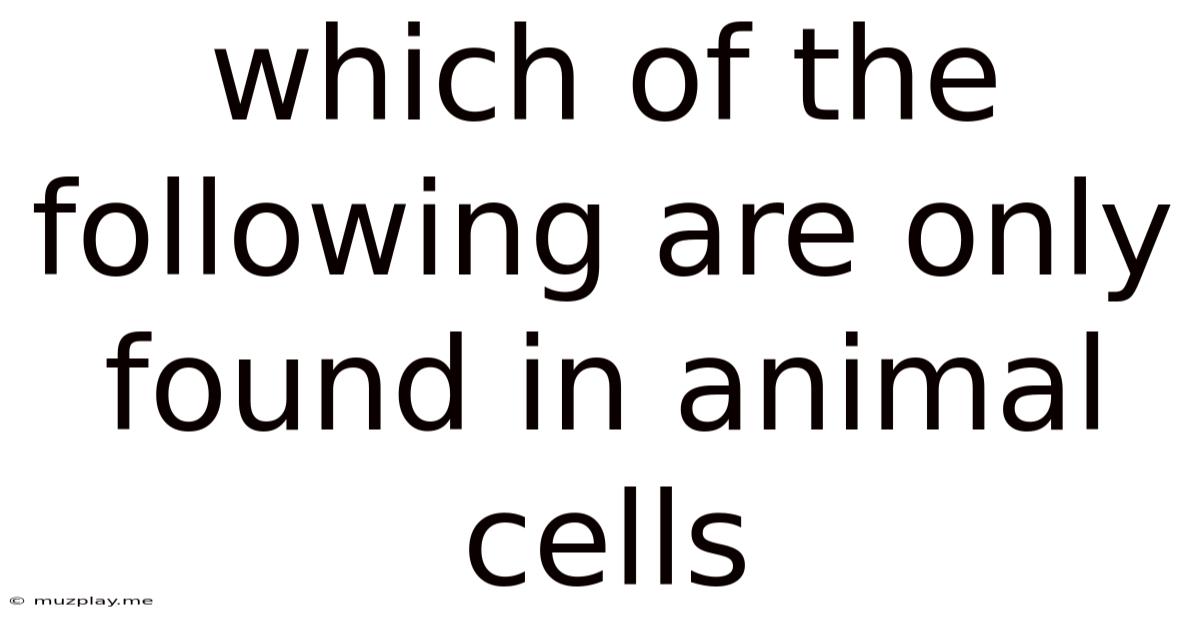 Which Of The Following Are Only Found In Animal Cells