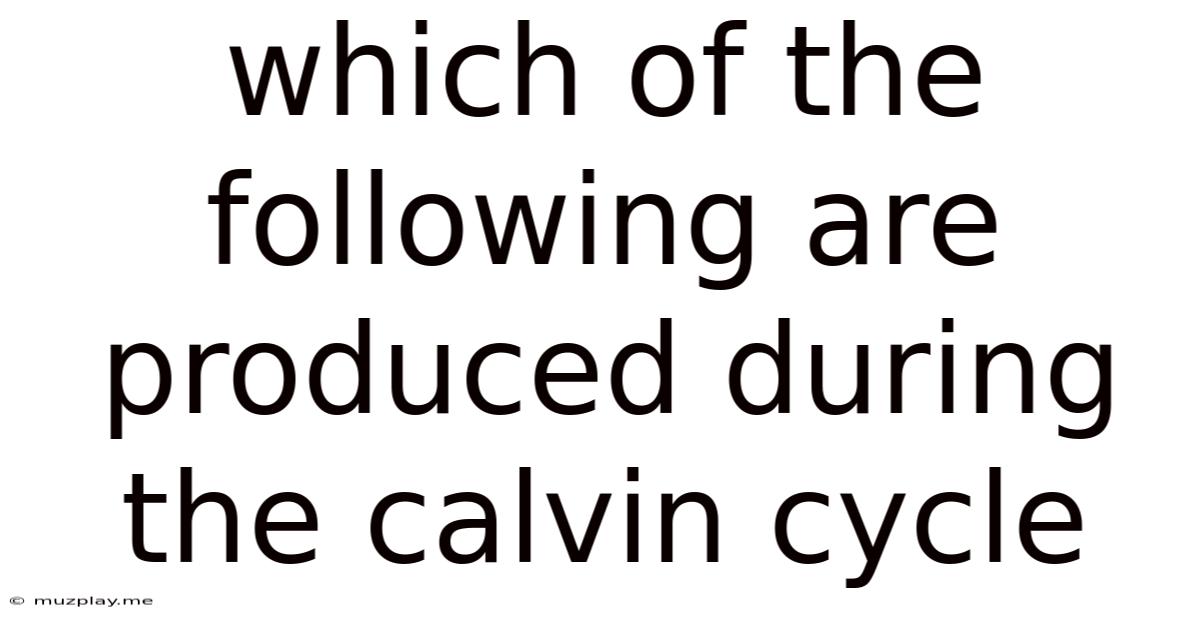Which Of The Following Are Produced During The Calvin Cycle