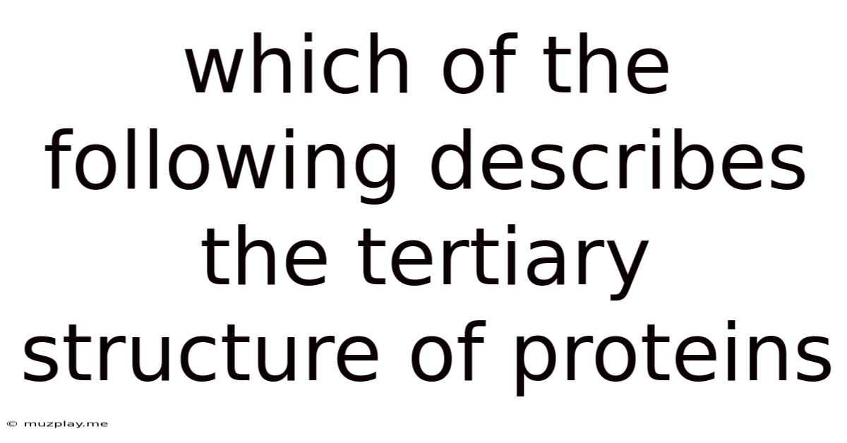 Which Of The Following Describes The Tertiary Structure Of Proteins