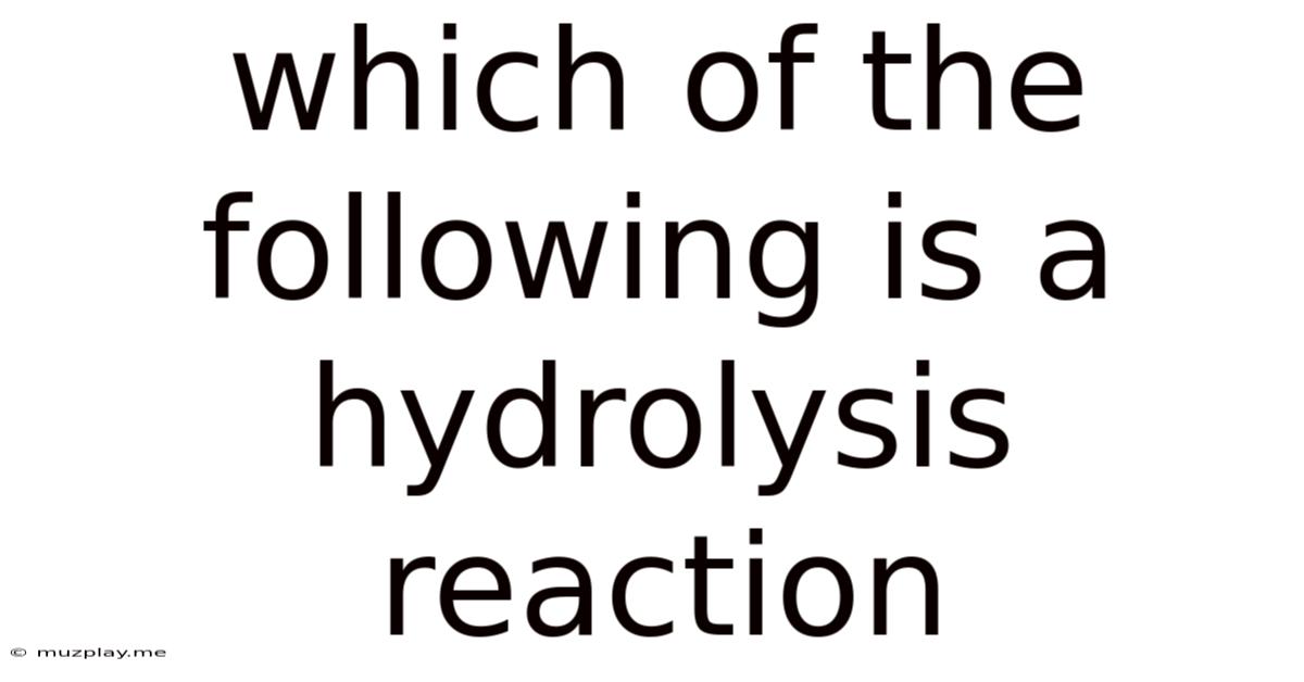 Which Of The Following Is A Hydrolysis Reaction