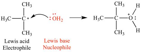 Which Of The Following Is A Lewis Base