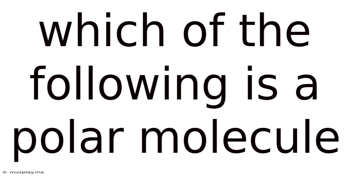 Which Of The Following Is A Polar Molecule
