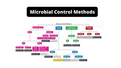 Which Of The Following Is An Example Of Microbial Control