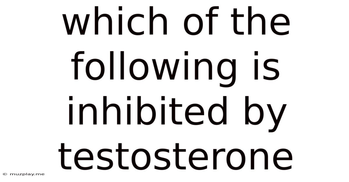 Which Of The Following Is Inhibited By Testosterone