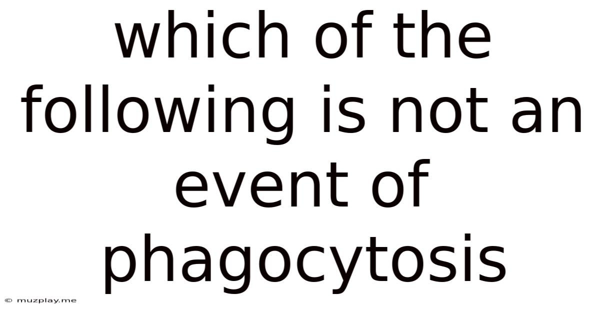 Which Of The Following Is Not An Event Of Phagocytosis