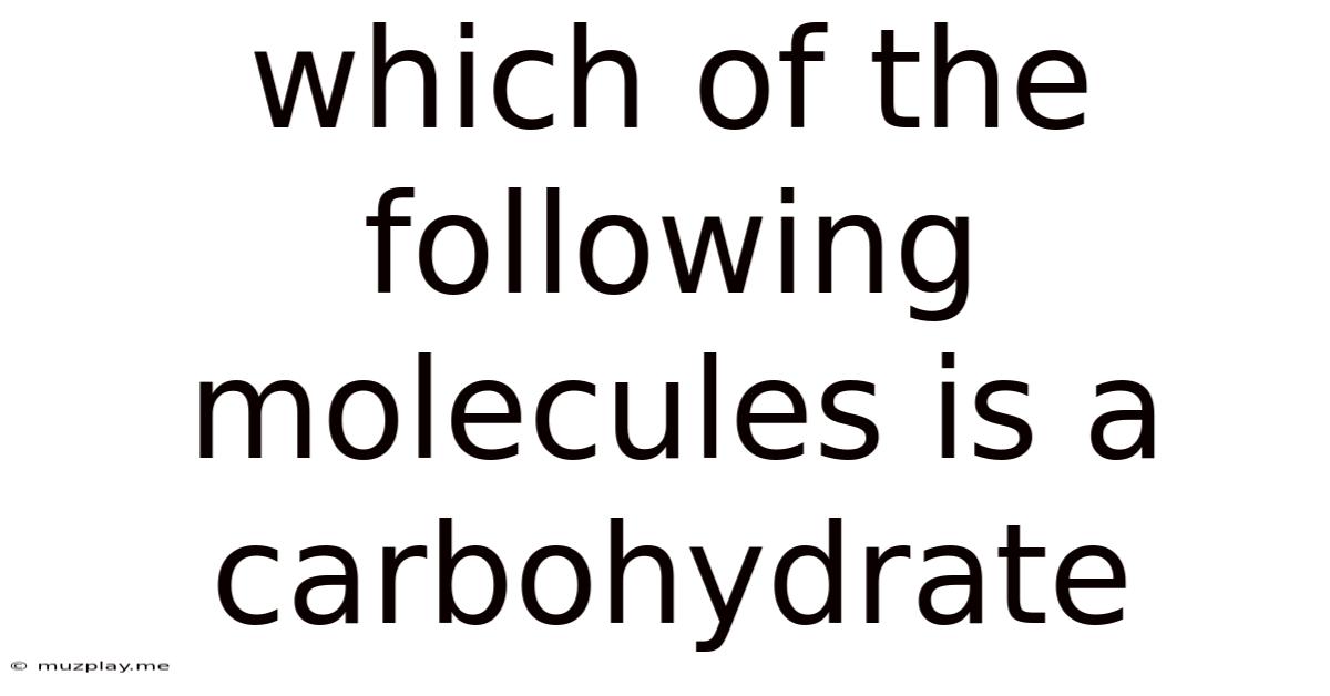 Which Of The Following Molecules Is A Carbohydrate