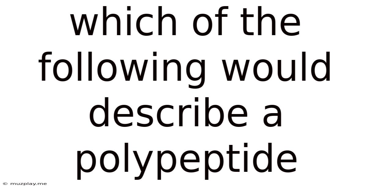 Which Of The Following Would Describe A Polypeptide