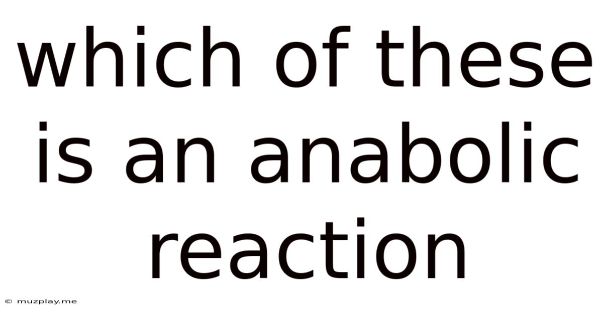 Which Of These Is An Anabolic Reaction