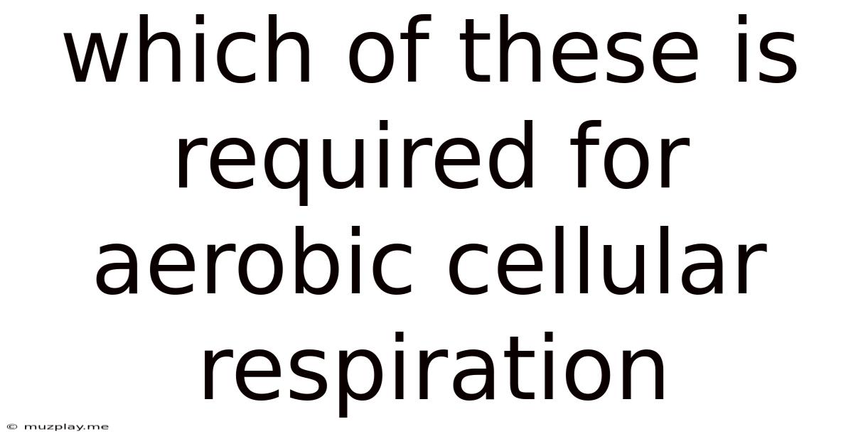 Which Of These Is Required For Aerobic Cellular Respiration