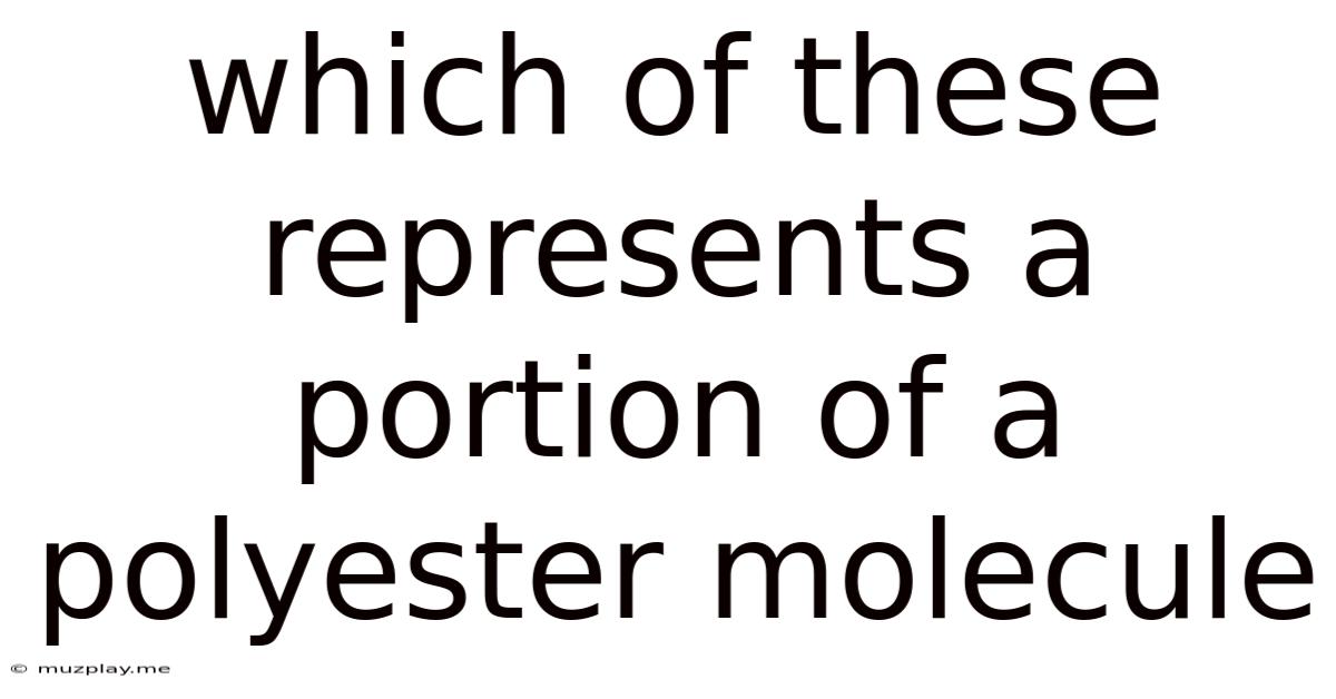 Which Of These Represents A Portion Of A Polyester Molecule