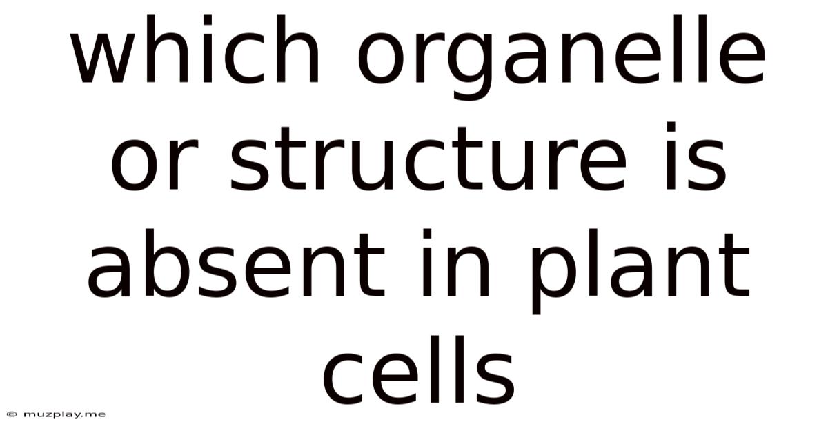 Which Organelle Or Structure Is Absent In Plant Cells