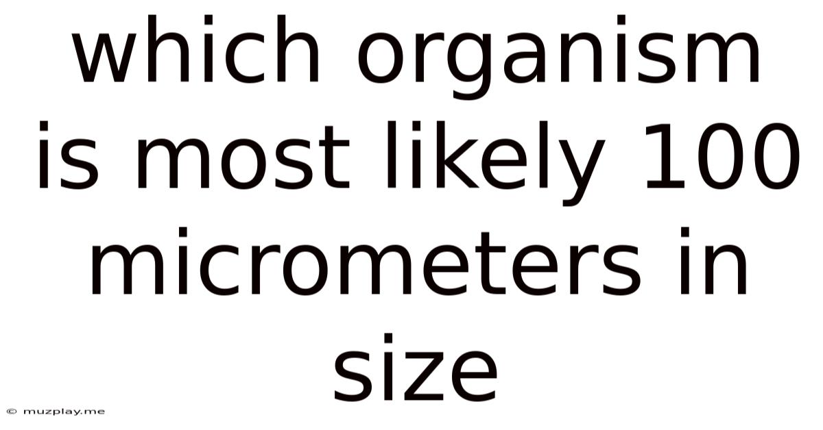Which Organism Is Most Likely 100 Micrometers In Size