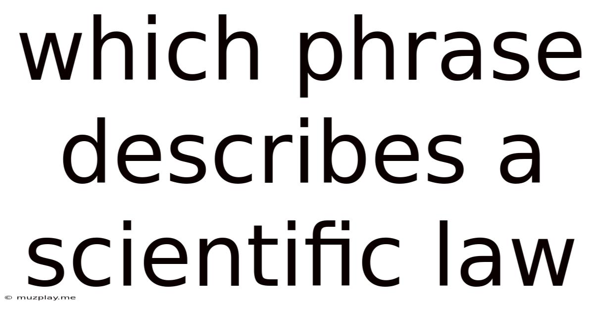 Which Phrase Describes A Scientific Law