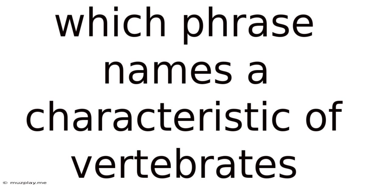 Which Phrase Names A Characteristic Of Vertebrates